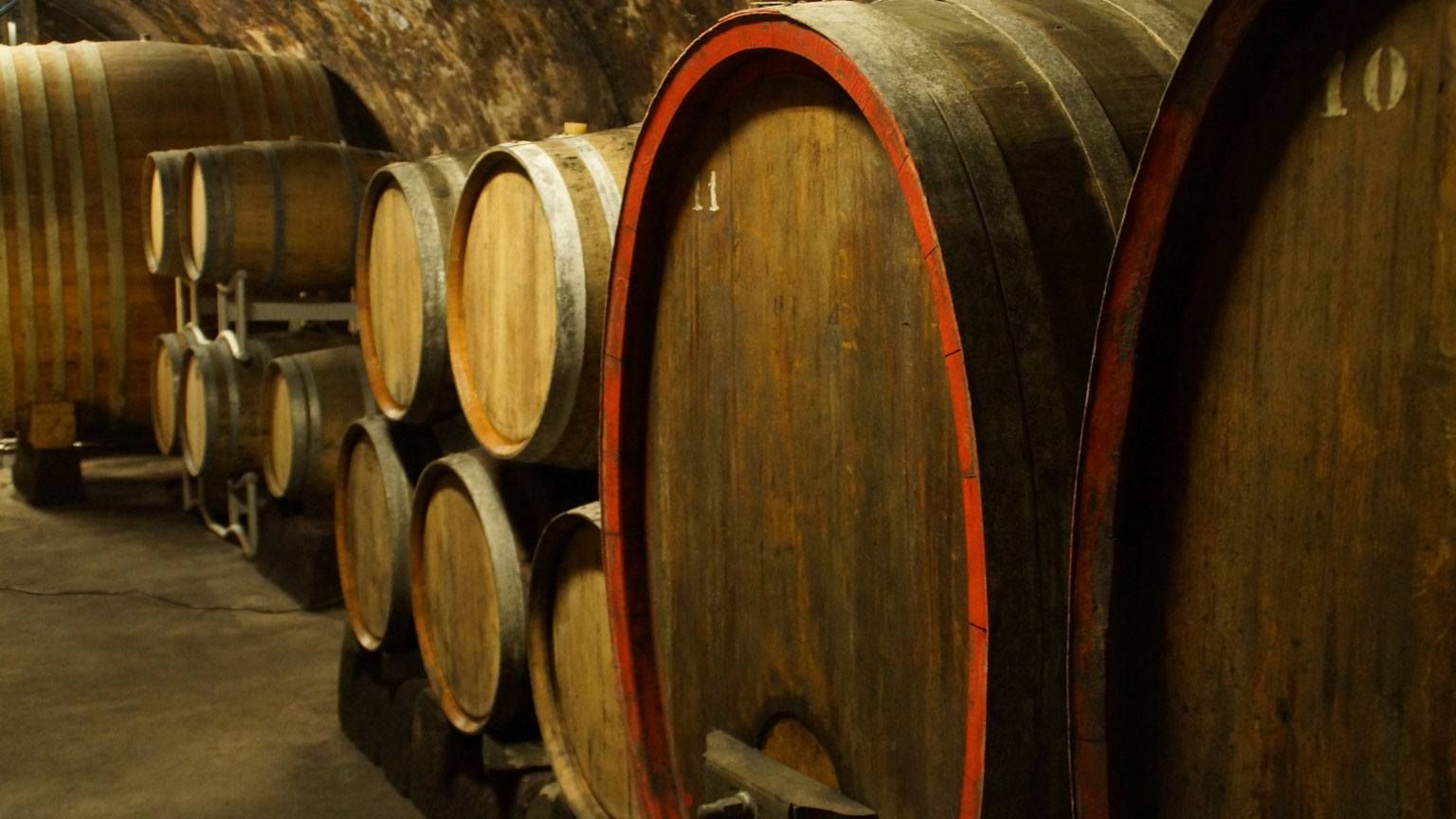 Weinfaesser im Gewoelbe des Weinkellers des Weingut Biegler & Brand in Alzey
